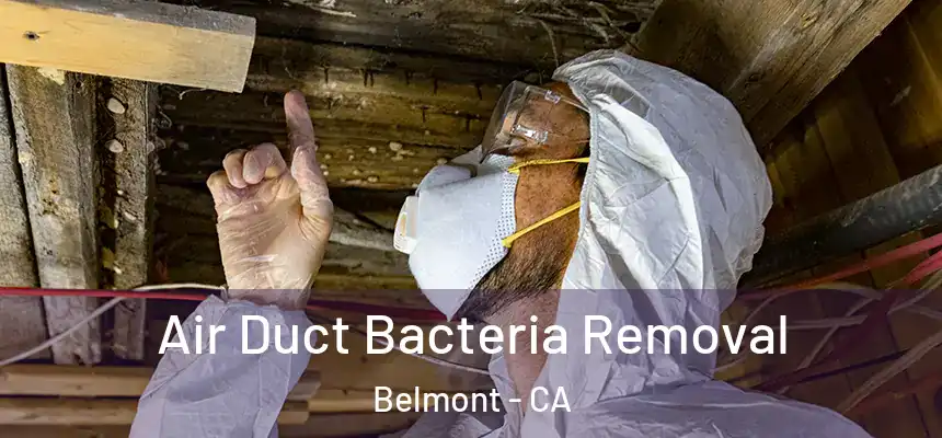  Air Duct Bacteria Removal Belmont - CA