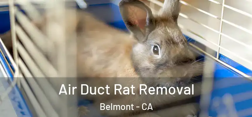  Air Duct Rat Removal Belmont - CA