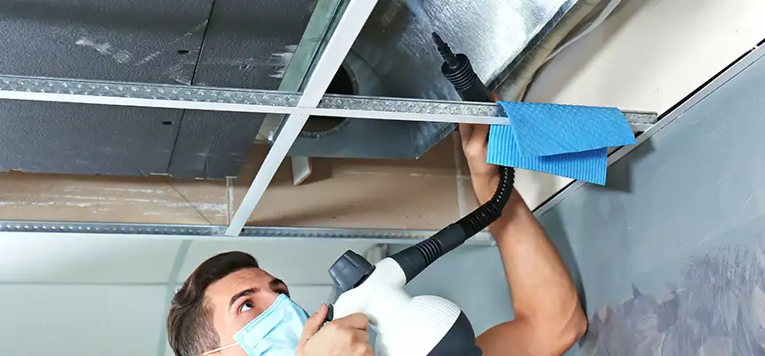 Our Air Duct Rodent Removal Services in Belmont, CA
