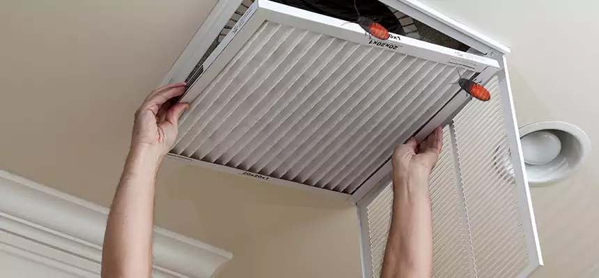 Our Insect Removal from Air Ducts Services in Belmont, CA