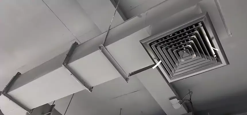 Our Pest Removal From Ducts Services in Belmont, CA