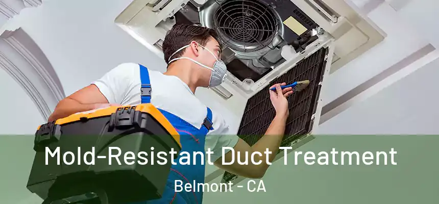  Mold-Resistant Duct Treatment Belmont - CA