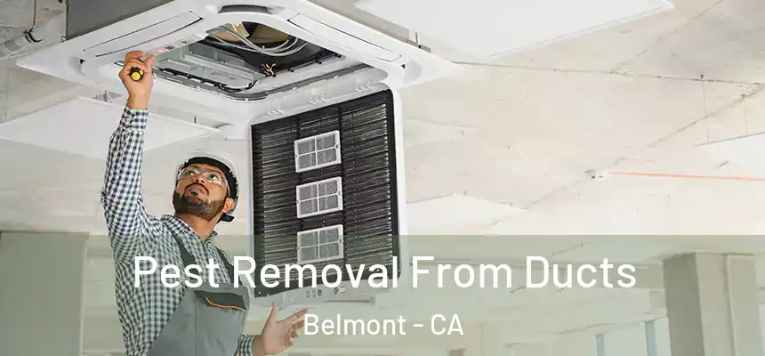  Pest Removal From Ducts Belmont - CA