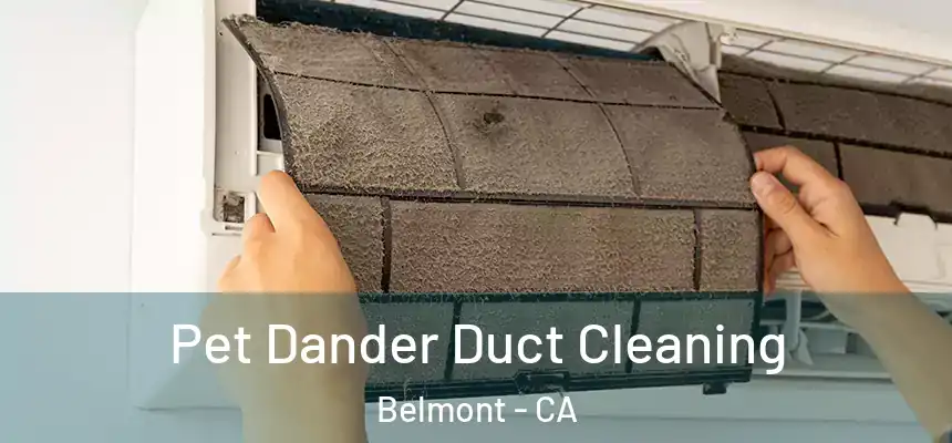  Pet Dander Duct Cleaning Belmont - CA