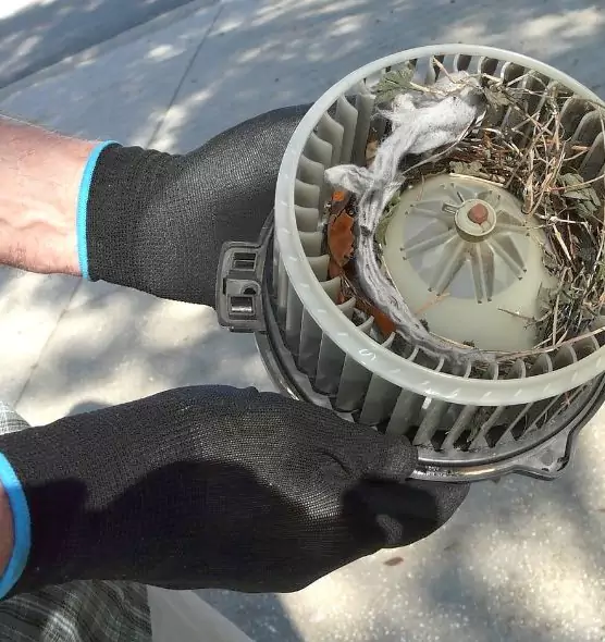 About Air Duct Mice Removal in Belmont, CA