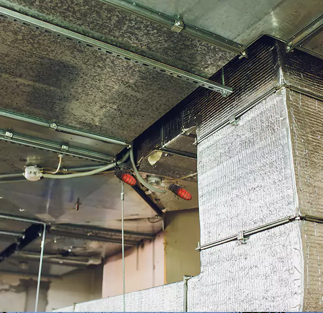 Why Homeowners & Businesses Trust Us in Belmont, CA?