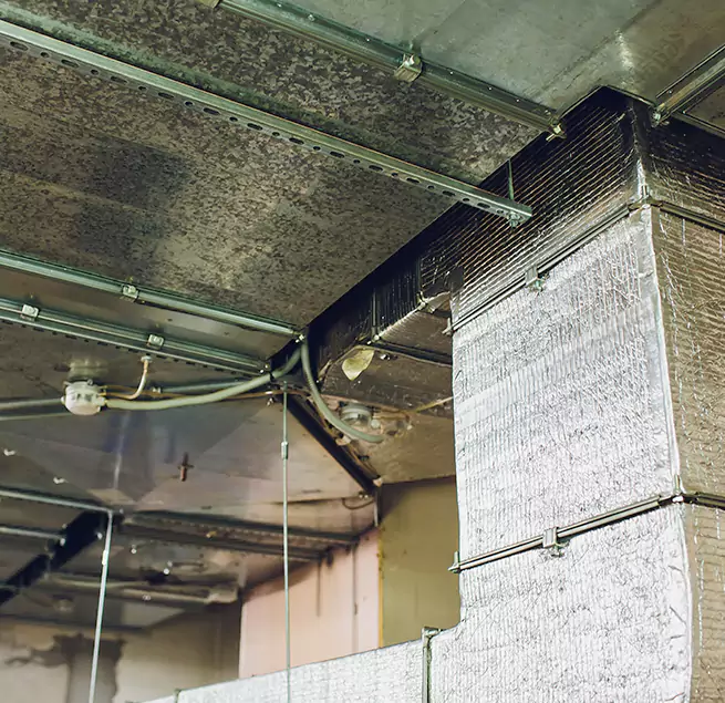 Why Homeowners & Businesses Trust Us in Belmont, CA?